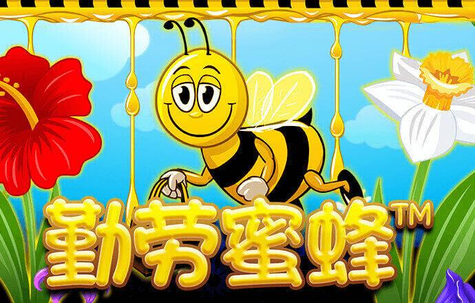 A0宝典下载安装网址